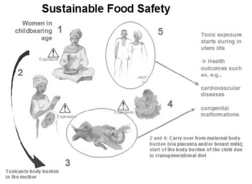 Sustainable food safety and toxicant zoonoses