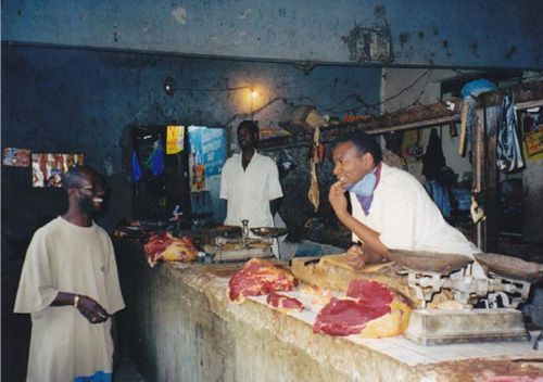 Toxicants exposures as novel zoonoses: reflections on sustainable development, food safety and veterinary public health